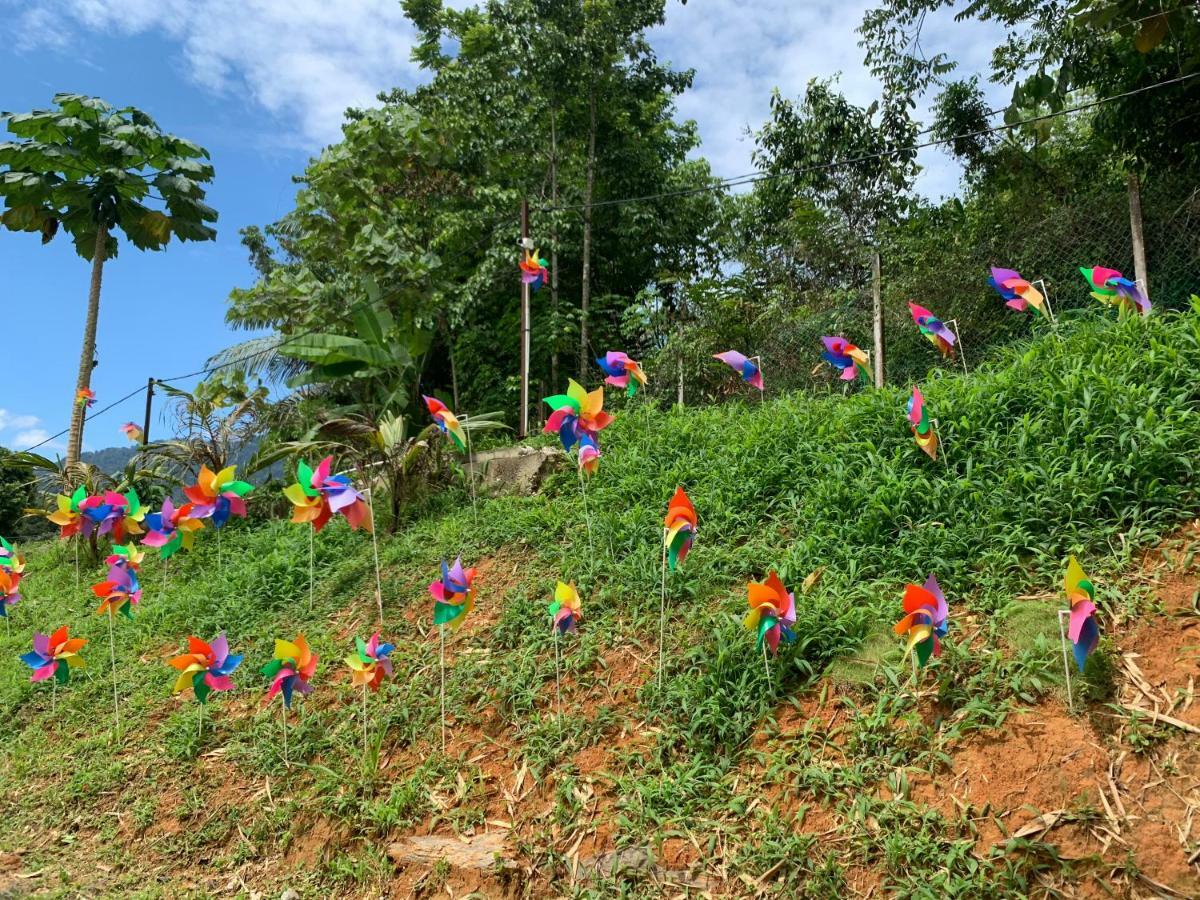 Happy Paradise Kampung Janda Baik Eksteriør bilde